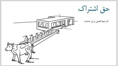 مدل کسب و کار حق اشتراک - اخد بلیط فصلی برای خدمات