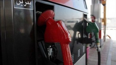 نایب رئیس هیات مدیره اسنپ آماده ارائه راهکار نظارت بر سهمیه بندی سوخت هستیمگ