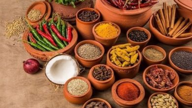 اولین شتابدهنده حوزه گیاهان دارویی راه اندازی می‌شود