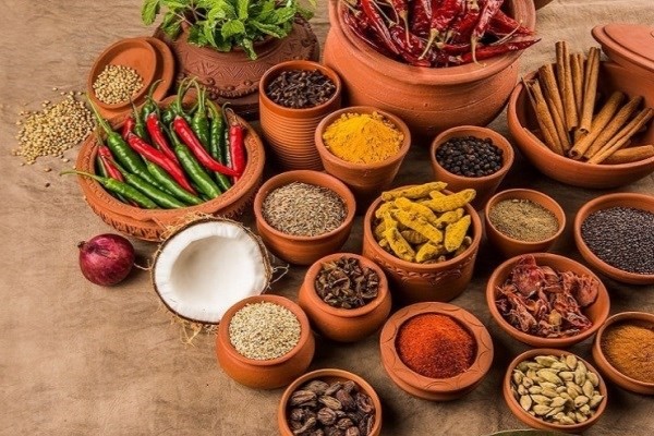 اولین شتابدهنده حوزه گیاهان دارویی راه اندازی می‌شود