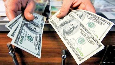 تاسیس بازار متشکل ارزی باعث افزایش ارزش پول ملی می‌شود