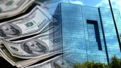 مداخله بانک مرکزی نقش مهمی در کاهش قیمت ارز داشت
