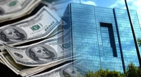مداخله بانک مرکزی نقش مهمی در کاهش قیمت ارز داشت