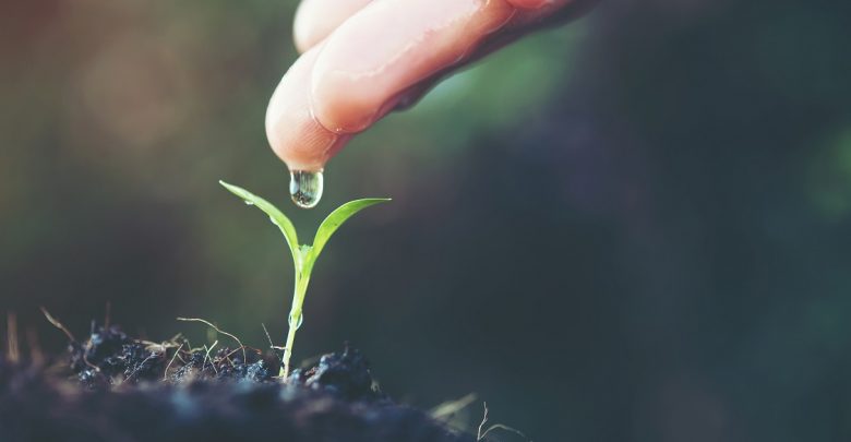 آشنایی با 8 استارتاپ حوزه تکنولوژی آب که به رشد صنعت کشاورزی کمک می‌کنند
