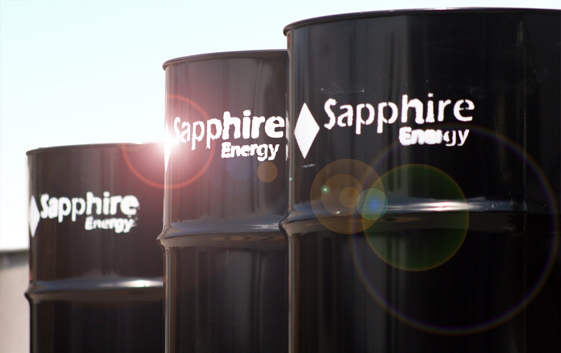 sapphire energy استارتاپ