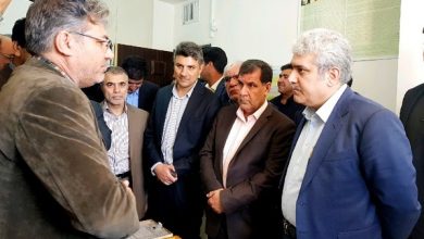 رویکرد دولت حمایت قاطع از شرکت های دانش بنیان است