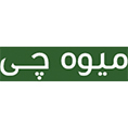 معرفی استارتاپ میوه چی