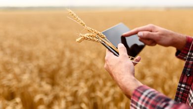 بررسی سرمایه­ گذاری در فناوری کشاورزی مواد غذایی در 2019