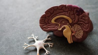 اکوسیستم آزمون های شناختی با تفاهم دو نهاد علمی توسعه می یابد