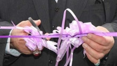 پارک علوم و فناوری های نرم و صنایع فرهنگی جهاد دانشگاهی فارس افتتاح شد
