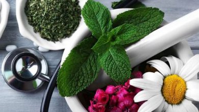 راه اندازی مرکز نوآوری و شتابدهی طب ایرانی و داروسازی سنتی