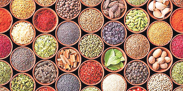 ۳۵ بسته حمایتی به پژوهشگران حوزه گیاهان دارویی ارائه می شود