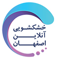 معرفی استارتاپ اصفهان چهارصد و هفتاد و هفت، سرویس ارائه کلیه خدمات خشکشویی به صورت آنلاین