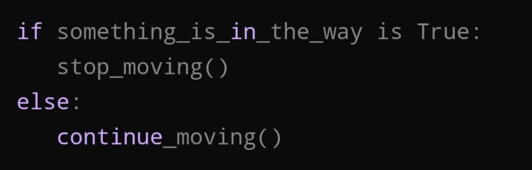 دستور کد: اگر‌ چیزی بر سر راه قرار دارد بایست، در غیر این صورت حرکت کن