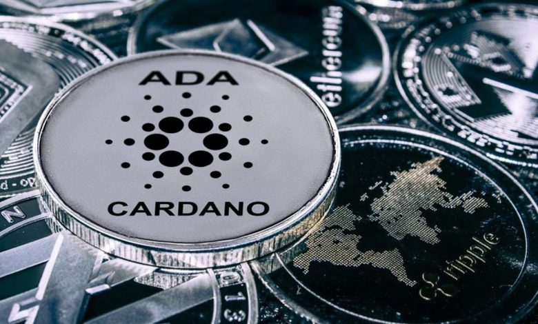 کاردانو بخریم یا نخریم؟