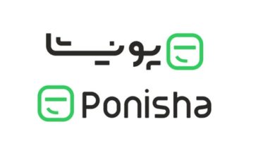 جزئیات حمله‌ هکرها به پونیشا